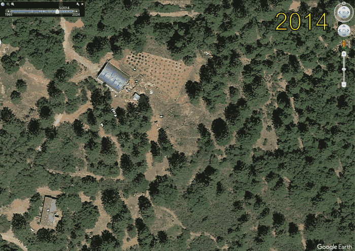 Animated view of land-cover change after the cannabis ban in Calaveras County